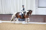SBM_006928