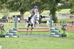 S35 - Working Hunter & Working Show Horse portfolio