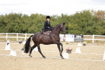 SBM_004927