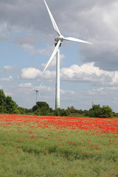 UK. Landscapes portfolio