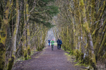 Kielder Ultra-1229