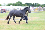 SBM_04037