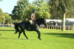 SBM_36459