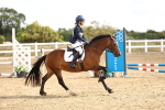SBM_006480