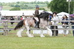 SBM_17653