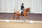 SBM_001365