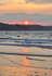 Portrait view of Looe Beach at sunrise with subtle colours