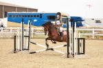 SBM_007289