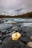 Abisko Canyon 1014 v2 print version deg