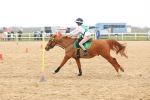 SBM_004381
