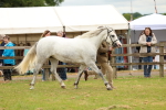 SBM_04139