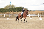 SBM_010856