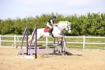 SBM_001373