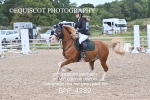 BPP_4389