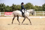SBM_003939