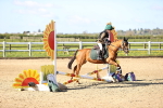 SBM_000266
