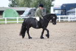 SBM_22004