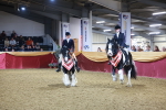 SBM_15211