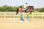 SBM_000732