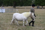 WJ6_6126