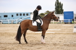 SBM_001222