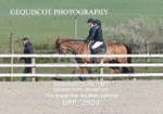 BPP_2904