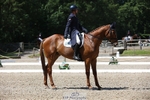 156-JUST_PERFECT-Gaspard_Maksud-WEDTrotUp+DR portfolio