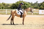 SBM_003600