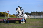 WJ5_8639