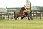 SBM_00393