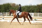 SBM_003347