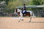 WJ6_6768