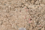 230511A-182020-01706