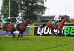 160626-Race 1-Counter Intuitive-3