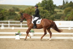 SBM_003369