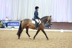 SBM_002243