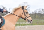 BPP_3893