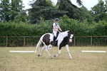 WJ6_5366