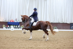 SBM_009484