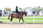 SBM_03294