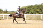 SBM_000919