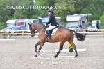 NOVICE 6 portfolio