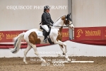 BPP_9085