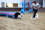 SBM_005907