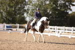 SBM_08012