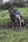_I3C0769