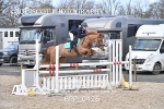 CLASS 16 SUN Liz Fox Royal Highland Show JD/JC Championship Qualifier portfolio