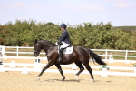 SBM_015037
