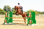 SBM_000654
