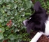 Curiosity
